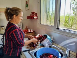 A woman stands next to a sink with a basin in it, carefully removing the stems of dried red chili peppers in order to make harissa